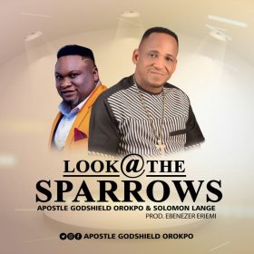 look-sparrows